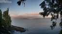 ./images/koeye/fitz-hugh/20260808/fitz-hugh20260808_064002M.jpg