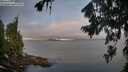 ./images/koeye/fitz-hugh/20260808/fitz-hugh20260808_070501M.jpg