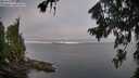 ./images/koeye/fitz-hugh/20260808/fitz-hugh20260808_072501M.jpg