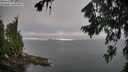 ./images/koeye/fitz-hugh/20260808/fitz-hugh20260808_074002M.jpg