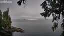 ./images/koeye/fitz-hugh/20260808/fitz-hugh20260808_083001M.jpg