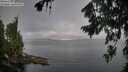 ./images/koeye/fitz-hugh/20260808/fitz-hugh20260808_084501M.jpg