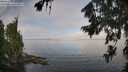 ./images/koeye/fitz-hugh/20260808/fitz-hugh20260808_091501M.jpg