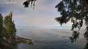 ./images/koeye/fitz-hugh/20260808/fitz-hugh20260808_095001M.jpg