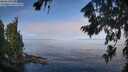 ./images/koeye/fitz-hugh/20260808/fitz-hugh20260808_095501M.jpg