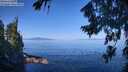 ./images/koeye/fitz-hugh/20260808/fitz-hugh20260808_103001M.jpg