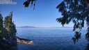 ./images/koeye/fitz-hugh/20260808/fitz-hugh20260808_104501M.jpg