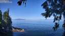 ./images/koeye/fitz-hugh/20260808/fitz-hugh20260808_105001M.jpg