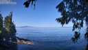 ./images/koeye/fitz-hugh/20260808/fitz-hugh20260808_105501M.jpg