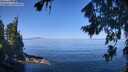 ./images/koeye/fitz-hugh/20260808/fitz-hugh20260808_110001M.jpg
