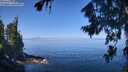 ./images/koeye/fitz-hugh/20260808/fitz-hugh20260808_111001M.jpg