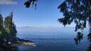 ./images/koeye/fitz-hugh/20260808/fitz-hugh20260808_111502M.jpg