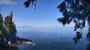 ./images/koeye/fitz-hugh/20260808/fitz-hugh20260808_112501M.jpg