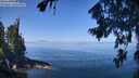 ./images/koeye/fitz-hugh/20260808/fitz-hugh20260808_113001M.jpg