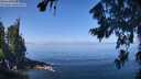 ./images/koeye/fitz-hugh/20260808/fitz-hugh20260808_113502M.jpg