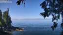 ./images/koeye/fitz-hugh/20260808/fitz-hugh20260808_114001M.jpg
