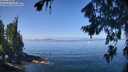 ./images/koeye/fitz-hugh/20260808/fitz-hugh20260808_114502M.jpg