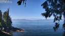 ./images/koeye/fitz-hugh/20260808/fitz-hugh20260808_115002M.jpg