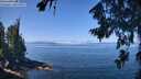 ./images/koeye/fitz-hugh/20260808/fitz-hugh20260808_115501M.jpg