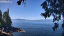 ./images/koeye/fitz-hugh/20260808/fitz-hugh20260808_120001M.jpg