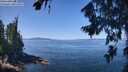 ./images/koeye/fitz-hugh/20260808/fitz-hugh20260808_120501M.jpg