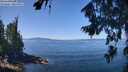 ./images/koeye/fitz-hugh/20260808/fitz-hugh20260808_121001M.jpg
