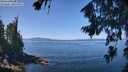 ./images/koeye/fitz-hugh/20260808/fitz-hugh20260808_121501M.jpg