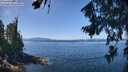 ./images/koeye/fitz-hugh/20260808/fitz-hugh20260808_122001M.jpg
