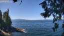./images/koeye/fitz-hugh/20260808/fitz-hugh20260808_123001M.jpg