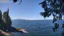 ./images/koeye/fitz-hugh/20260808/fitz-hugh20260808_123501M.jpg
