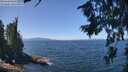 ./images/koeye/fitz-hugh/20260808/fitz-hugh20260808_124001M.jpg