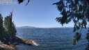 ./images/koeye/fitz-hugh/20260808/fitz-hugh20260808_124501M.jpg