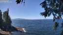 ./images/koeye/fitz-hugh/20260808/fitz-hugh20260808_125001M.jpg