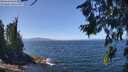 ./images/koeye/fitz-hugh/20260808/fitz-hugh20260808_125501M.jpg