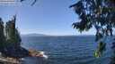 ./images/koeye/fitz-hugh/20260808/fitz-hugh20260808_130001M.jpg