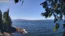 ./images/koeye/fitz-hugh/20260808/fitz-hugh20260808_131001M.jpg