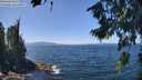 ./images/koeye/fitz-hugh/20260808/fitz-hugh20260808_131502M.jpg