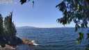 ./images/koeye/fitz-hugh/20260808/fitz-hugh20260808_132002M.jpg