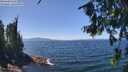 ./images/koeye/fitz-hugh/20260808/fitz-hugh20260808_132501M.jpg