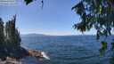 ./images/koeye/fitz-hugh/20260808/fitz-hugh20260808_133001M.jpg
