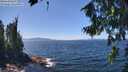 ./images/koeye/fitz-hugh/20260808/fitz-hugh20260808_134002M.jpg
