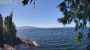 ./images/koeye/fitz-hugh/20260808/fitz-hugh20260808_134501M.jpg