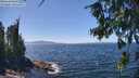 ./images/koeye/fitz-hugh/20260808/fitz-hugh20260808_135001M.jpg