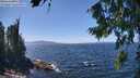 ./images/koeye/fitz-hugh/20260808/fitz-hugh20260808_135501M.jpg