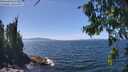 ./images/koeye/fitz-hugh/20260808/fitz-hugh20260808_140501M.jpg