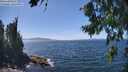 ./images/koeye/fitz-hugh/20260808/fitz-hugh20260808_141002M.jpg