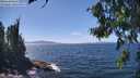 ./images/koeye/fitz-hugh/20260808/fitz-hugh20260808_141501M.jpg