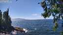 ./images/koeye/fitz-hugh/20260808/fitz-hugh20260808_142002M.jpg