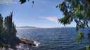 ./images/koeye/fitz-hugh/20260808/fitz-hugh20260808_143001M.jpg