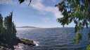 ./images/koeye/fitz-hugh/20260808/fitz-hugh20260808_144501M.jpg